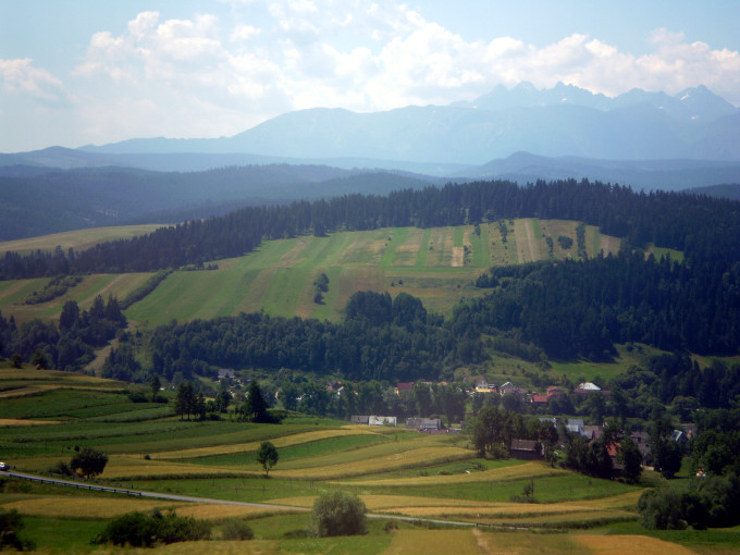 2008 - Niedica