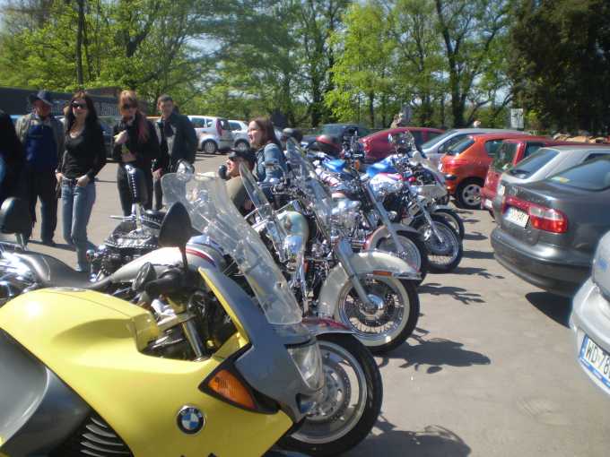 2009 - Kurnik