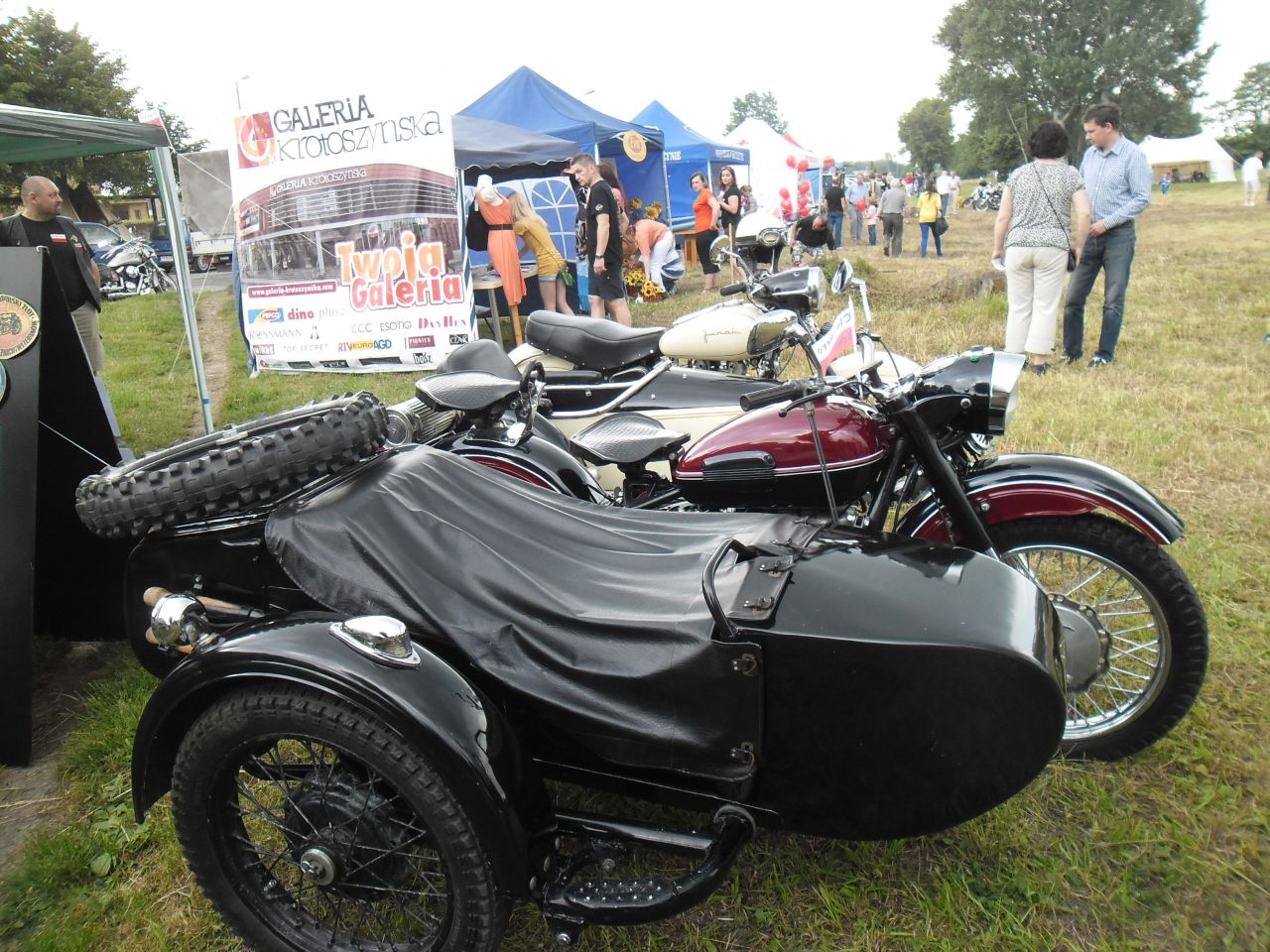 2013 - Krotofest
